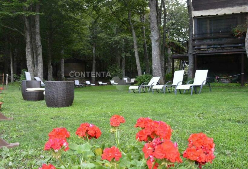 فندق Albergo Sella Monte Amiata