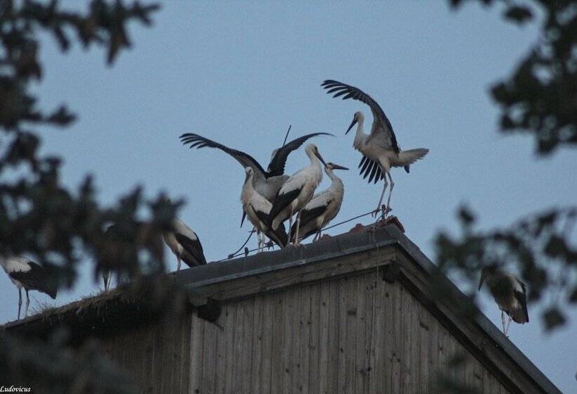 فندق Auberge De Provence
