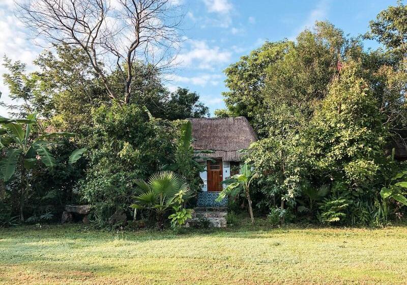 فندق Cenote San Ignacio