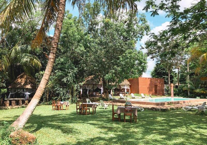 فندق Cenote San Ignacio