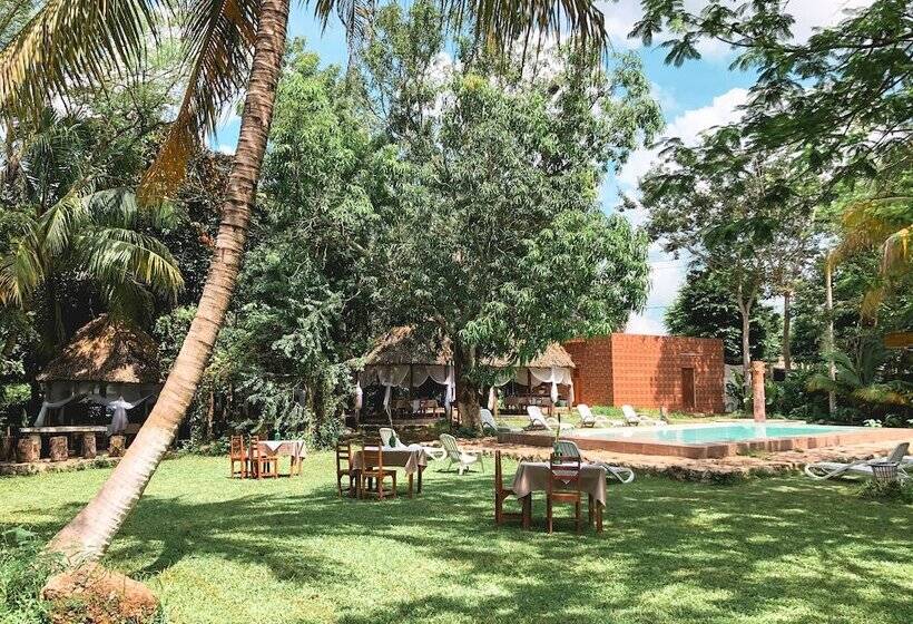 فندق Cenote San Ignacio