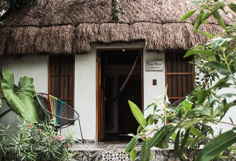 فندق Cenote San Ignacio