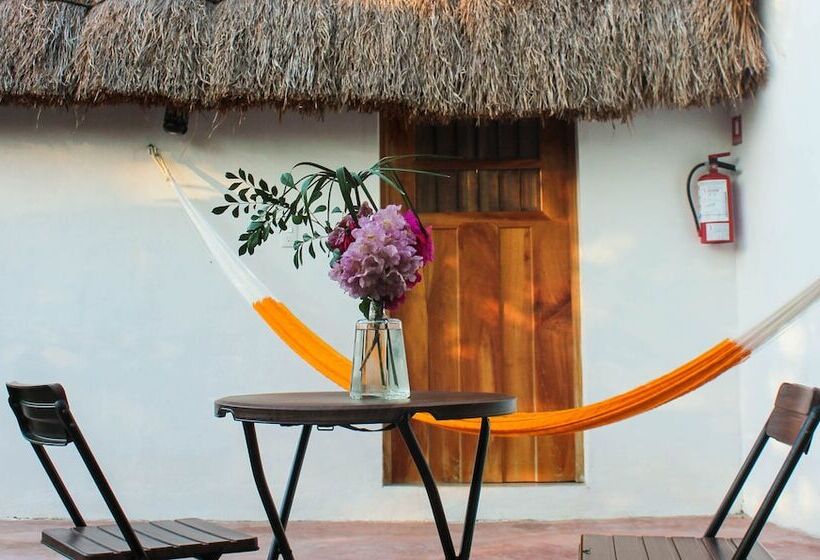 فندق Cenote San Ignacio