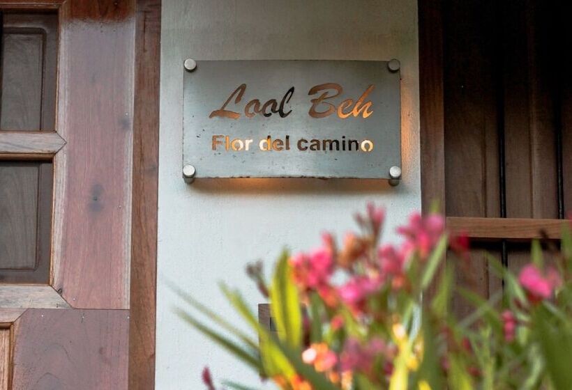 فندق Cenote San Ignacio