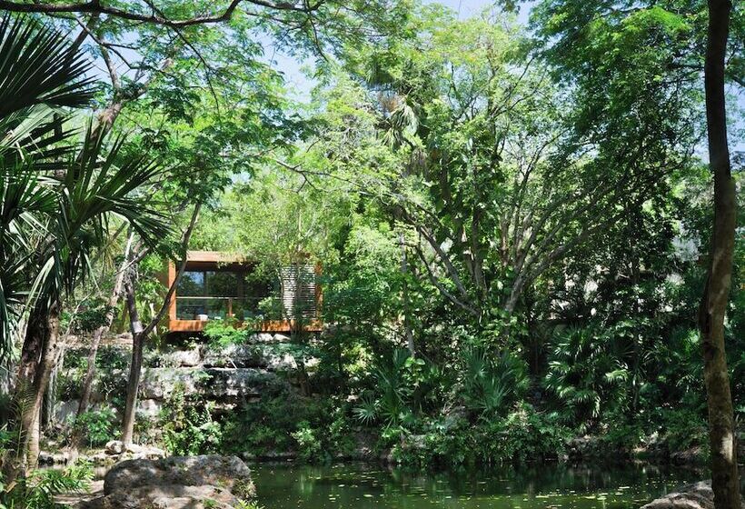 فندق Chablé Yucatán