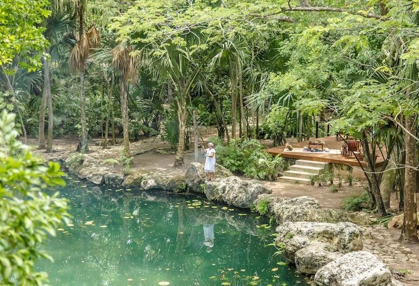 فندق Chablé Yucatán