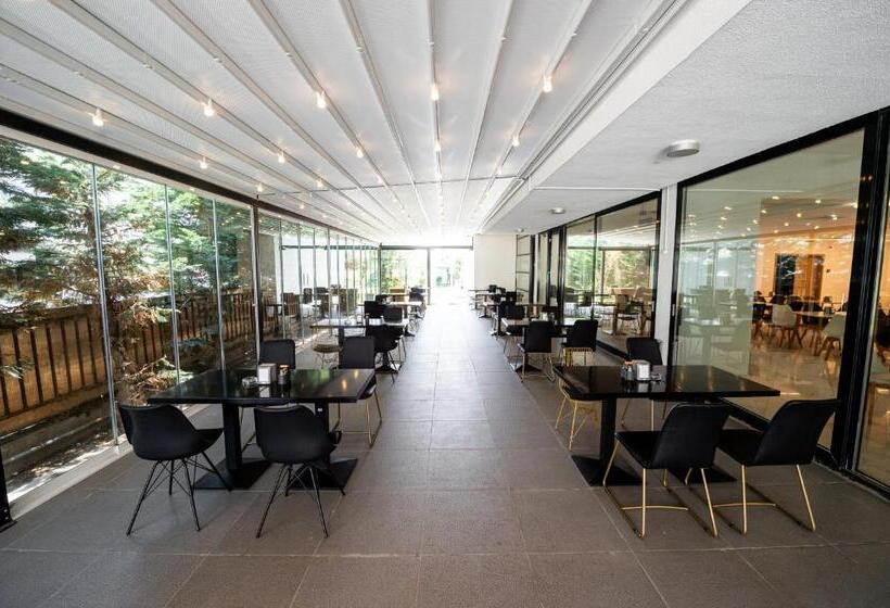 호텔 Clas Mamaia Nord