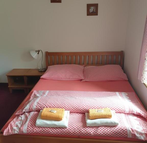 בית מלון כפרי Penzion Marienka