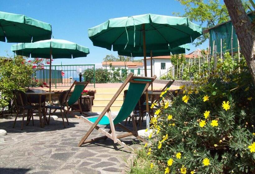 Пансион Bed & Breakfast   Anselmi M&m