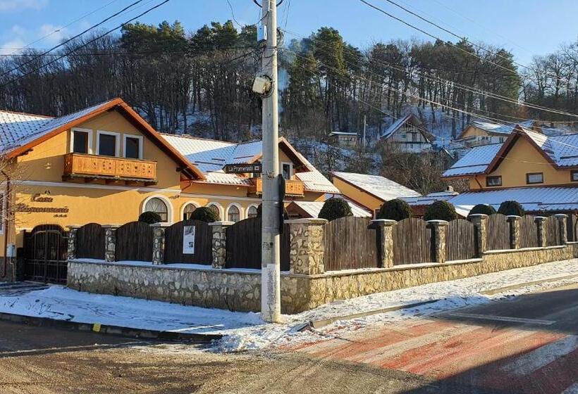 펜션 Casa Rasnoveana