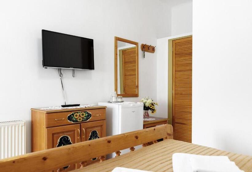 펜션 Casa Rasnoveana