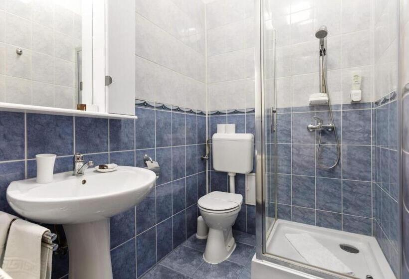 펜션 Casa Rasnoveana