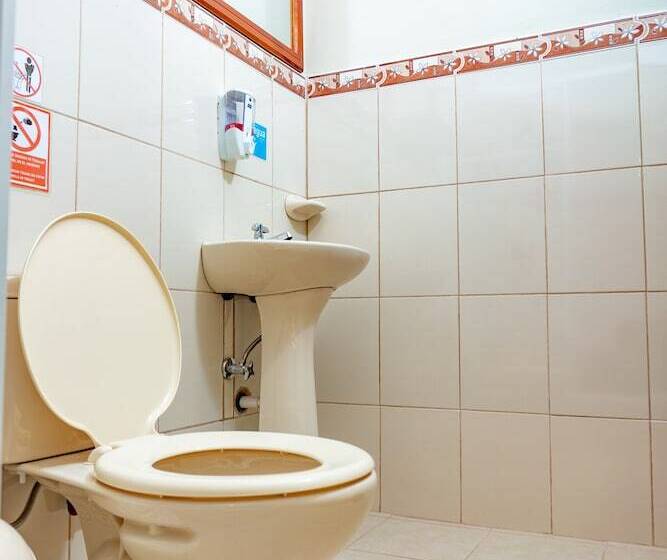 膳宿费 Cucuve Eco Hostal