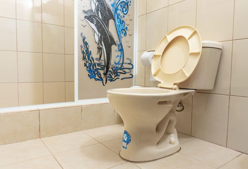 膳宿费 Cucuve Eco Hostal