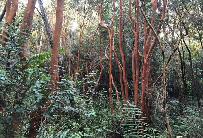 Pension Hospedaje Hamiltons Place