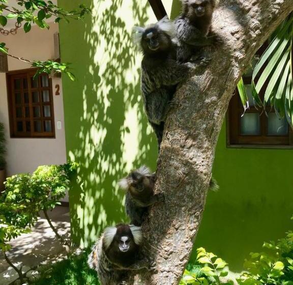 ペンション Pousada Charme Francês