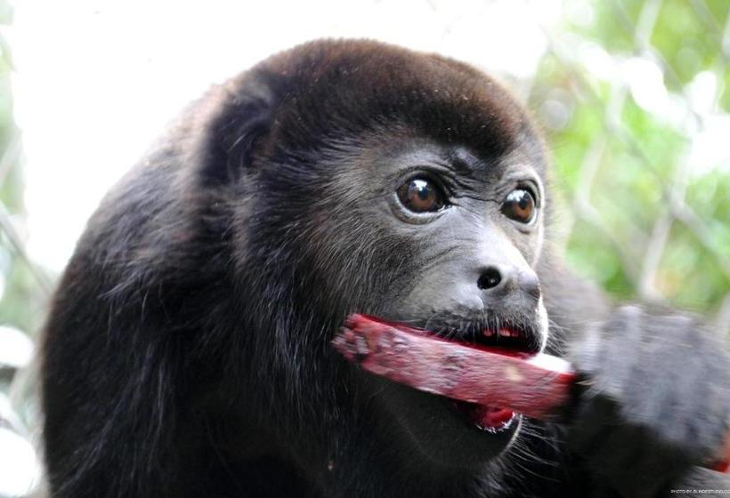 بنسيون Top Of The Mountain, New Hotel Bnb In The Clouds