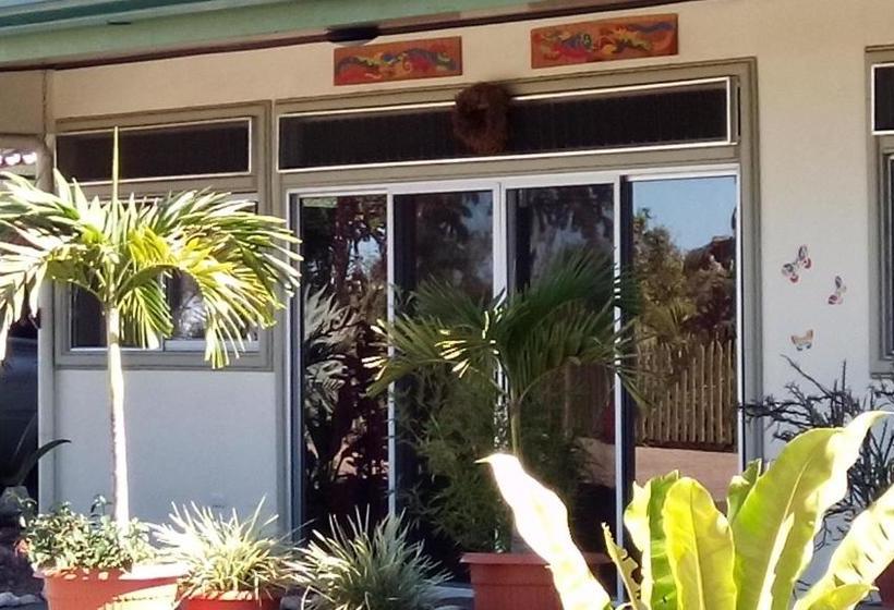 بنسيون Top Of The Mountain, New Hotel Bnb In The Clouds