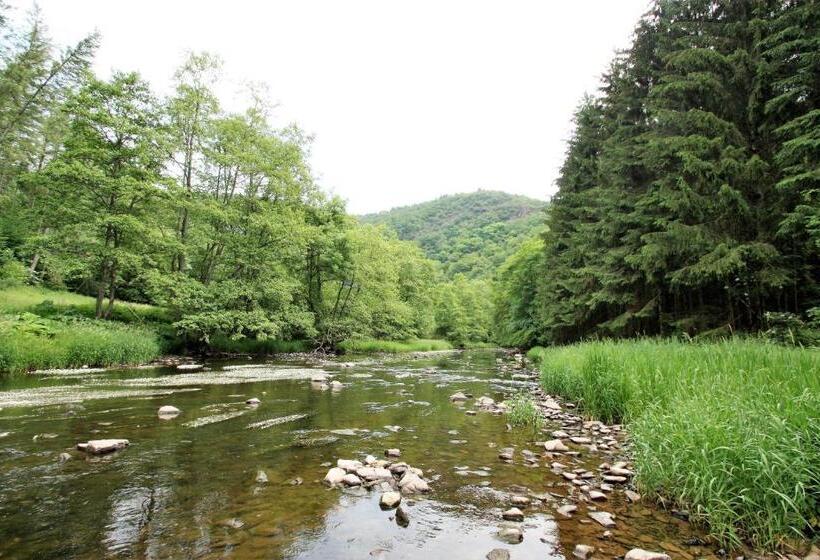 旅馆 Gasthaus Pension Geimer