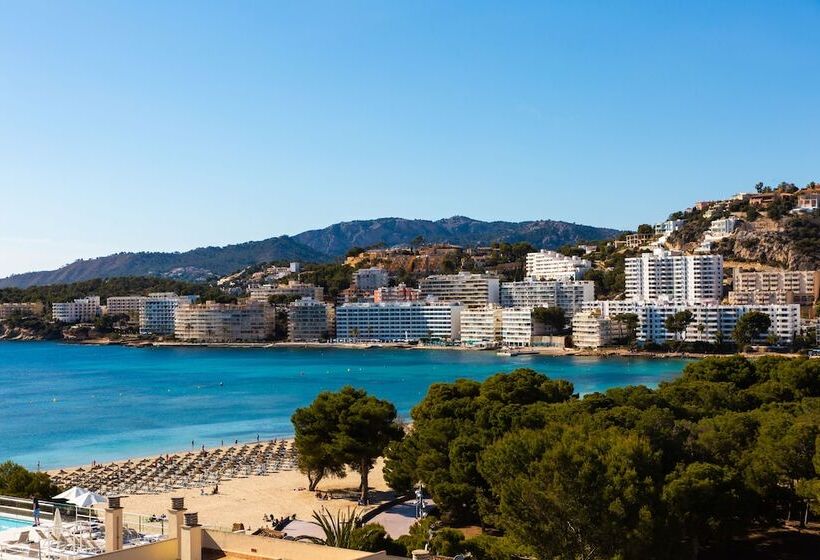 Apartamentos Casa Vida