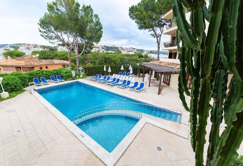 Apartamentos Casa Vida