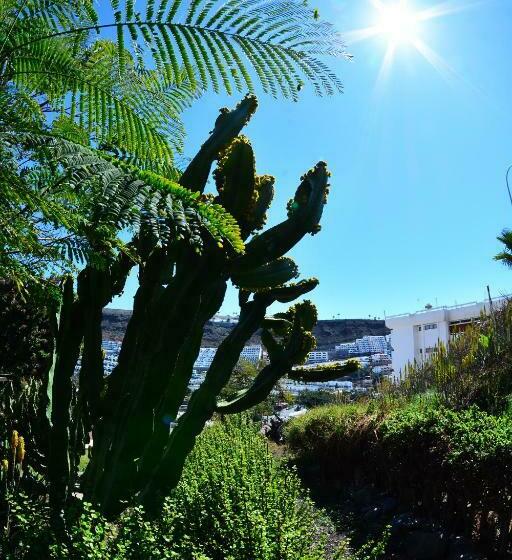 Apartamentos LIvvo Puerto Bello