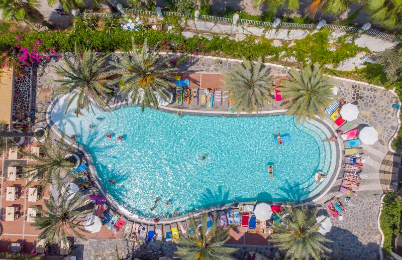 Flamingo Hotel & Spa   Pet Friendly