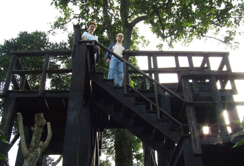 ホテル Argovia Finca Resort