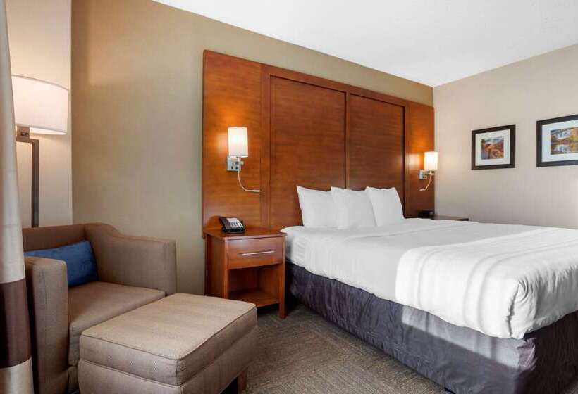 فندق Comfort Inn & Suites Presidential