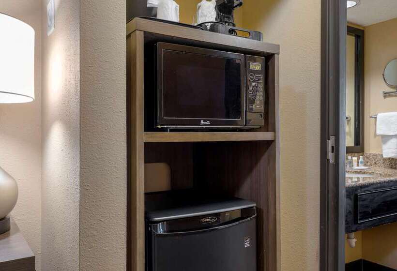 هتل Comfort Suites Dfw Airport