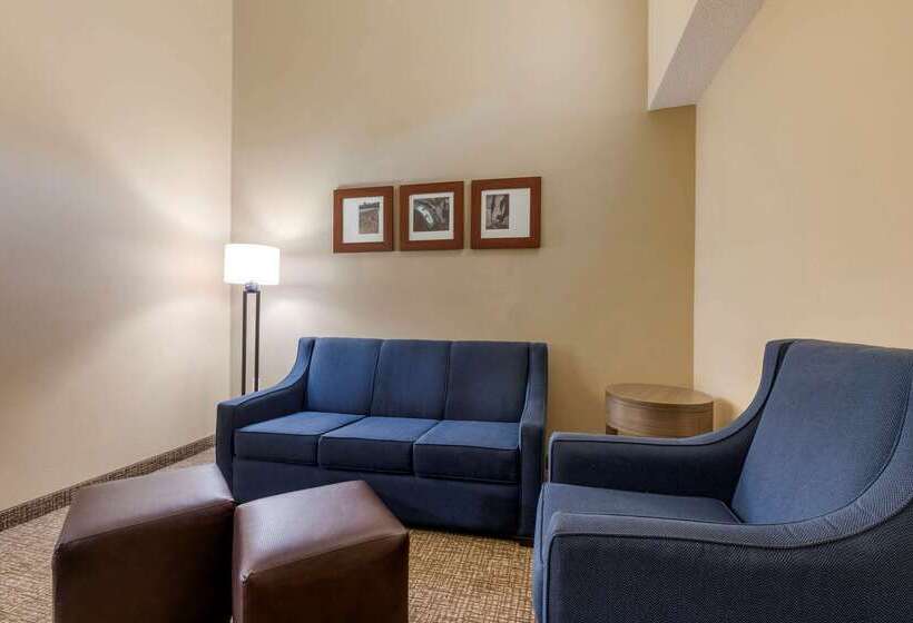 هتل Comfort Suites Dfw Airport
