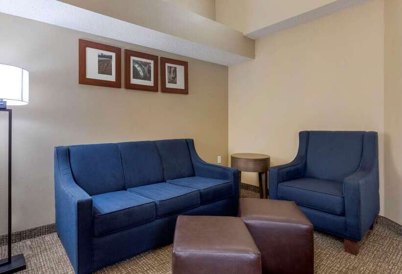 هتل Comfort Suites Dfw Airport
