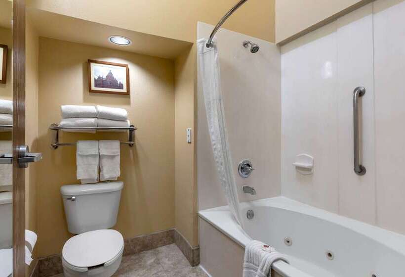 هتل Comfort Suites Dfw Airport