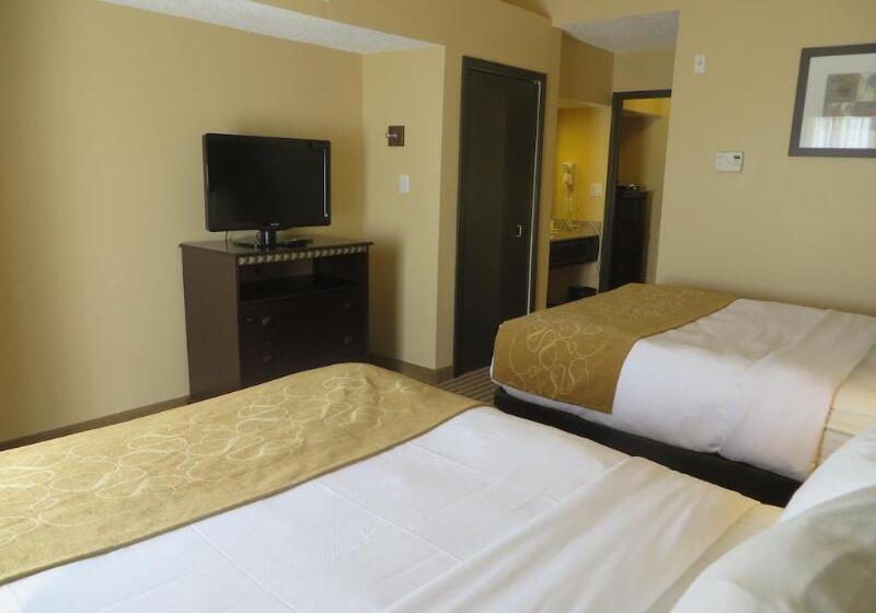 هتل Comfort Suites Dfw Airport