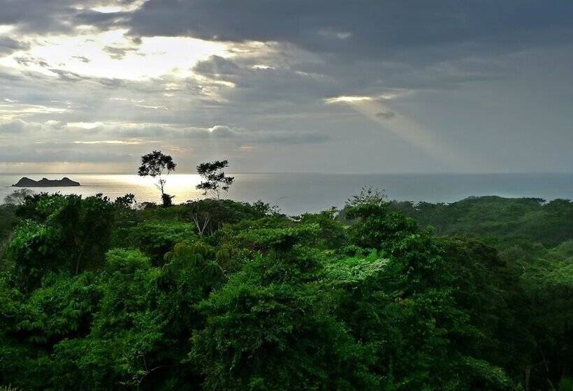 Cristal Ballena Boutique Hotel & Spa