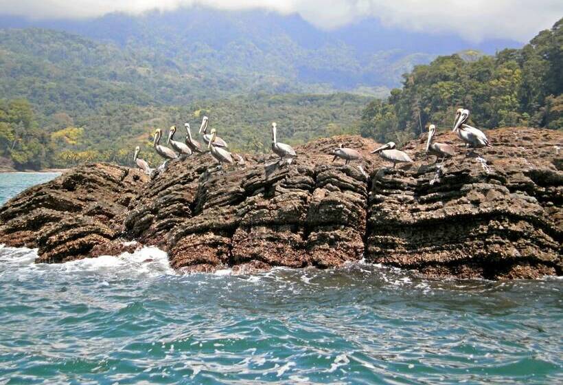 Cristal Ballena Boutique Hotel & Spa