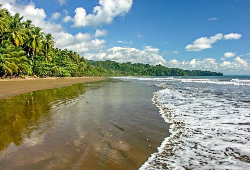 Cristal Ballena Boutique Hotel & Spa