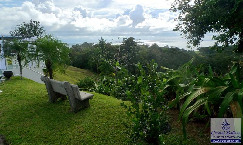 Cristal Ballena Boutique Hotel & Spa