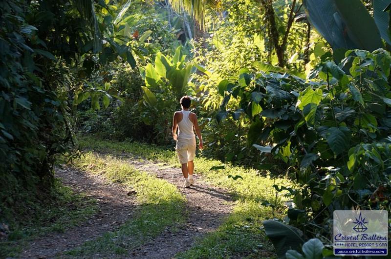 Cristal Ballena Boutique Hotel & Spa