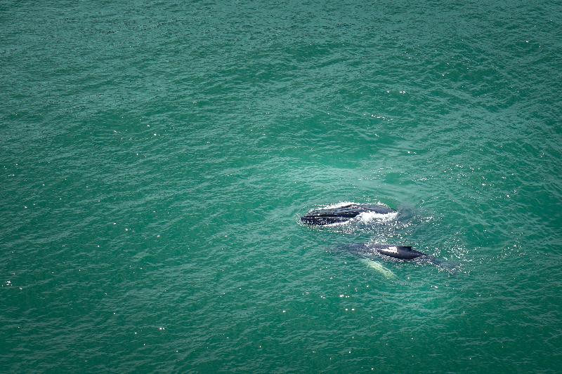 Cristal Ballena Boutique Hotel & Spa