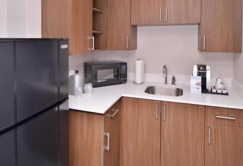 Holiday Inn Express Hotel & Suites Indianapolis Dtn Conv Ctr, An Ihg