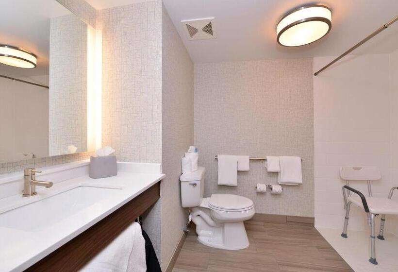 Holiday Inn Express Hotel & Suites Indianapolis Dtn Conv Ctr, An Ihg