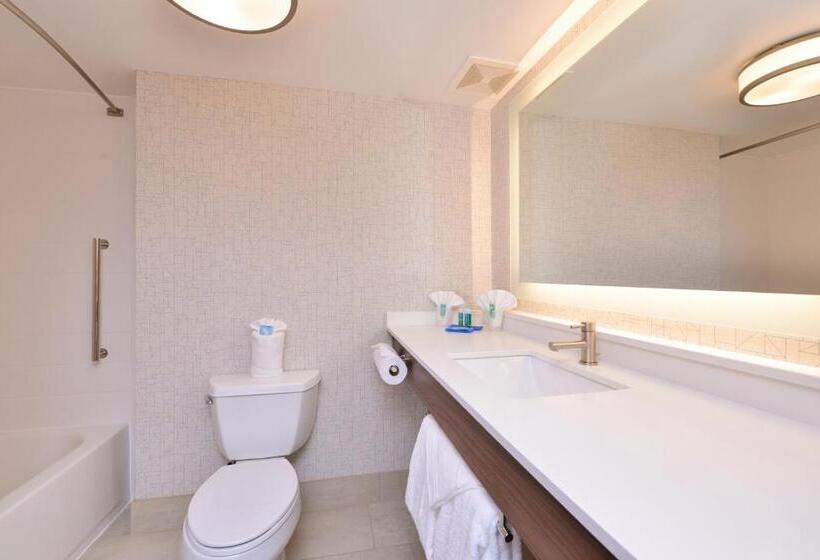 Holiday Inn Express Hotel & Suites Indianapolis Dtn Conv Ctr, An Ihg