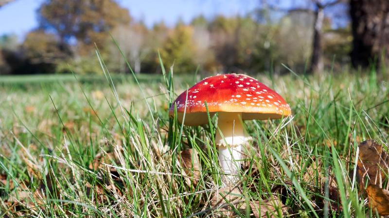 Отель Holiday Inn Express London Gatwick Crawley By Ihg