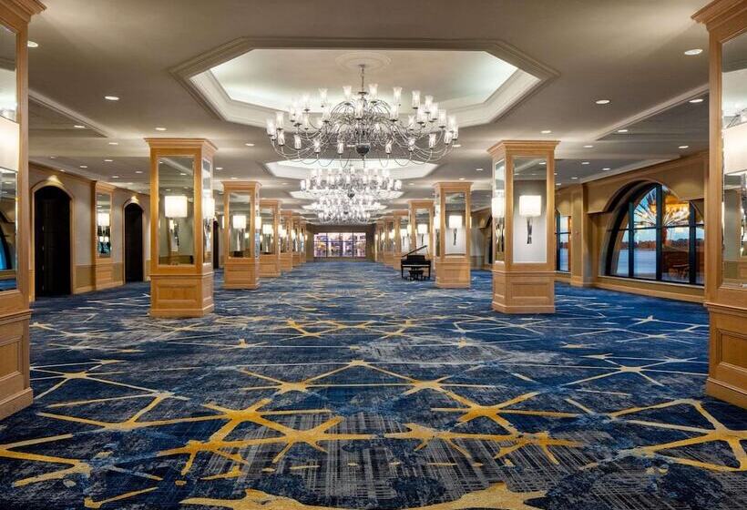 فندق Hyatt Regency Jacksonville Riverfront