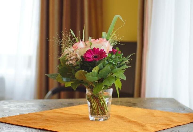 酒店 Kieler Hof Am Hauptbahnhof   Hamburg Central Station