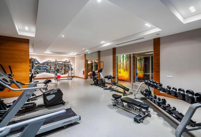 호텔 Sidera Kirman Premium   Ultra All Inclusive