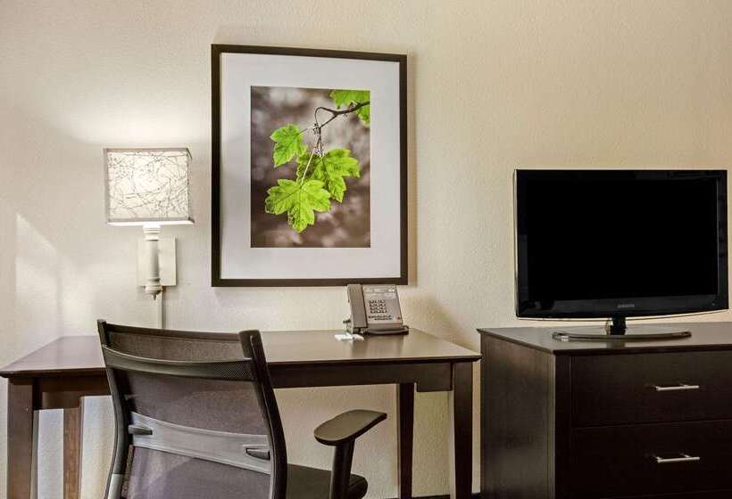 فندق La Quinta By Wyndham Miami Airport East