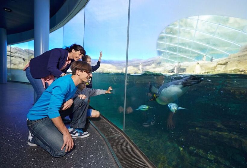 هتل Louisa's Place