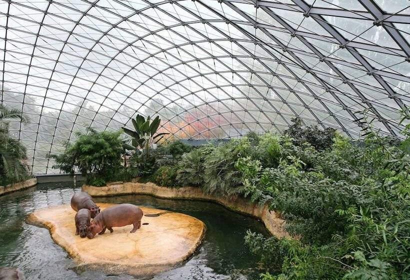 هتل Louisa's Place